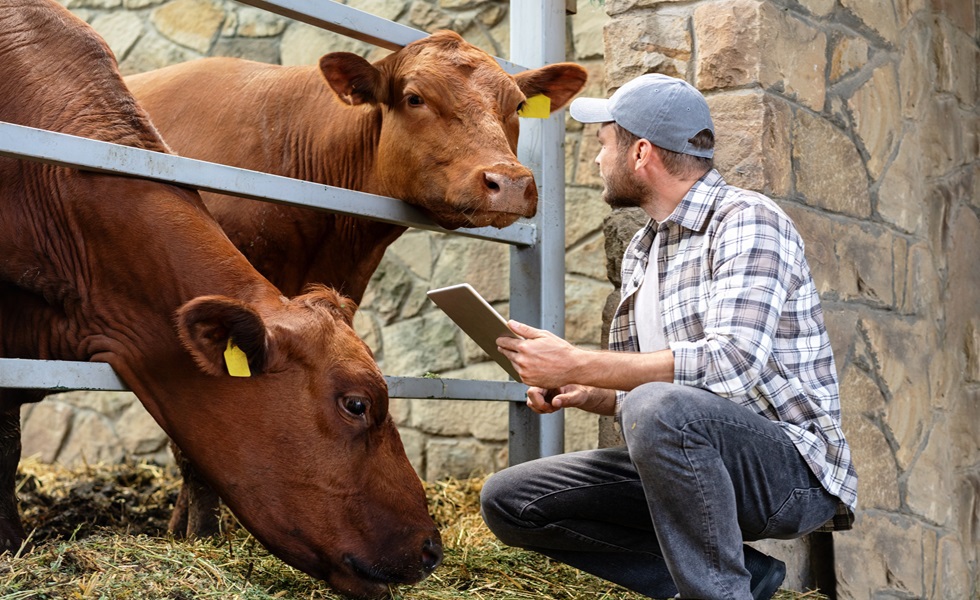 Como é que o acordo UE-MERCOSUL vai afectar a sua exploração agrícola?