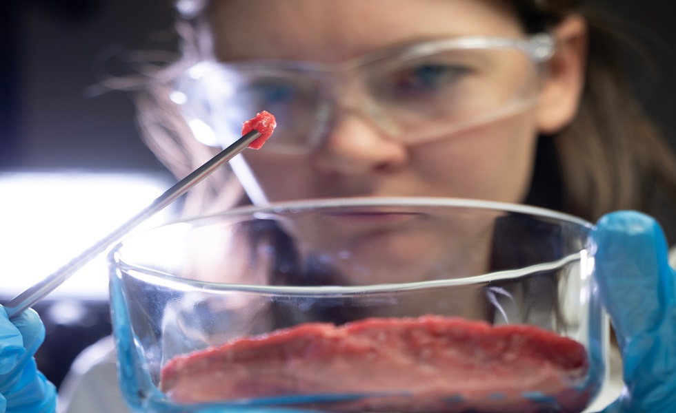 Como é que o acordo UE-MERCOSUL vai afectar a sua exploração agrícola?
