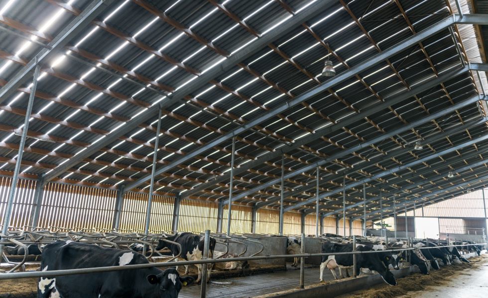 Como regular a humidade em edifícios agropecuários?