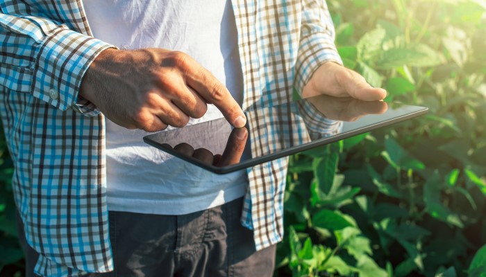 Agricultura ou pecuária inteligente: tecnologia para a eficiência da sua exploração