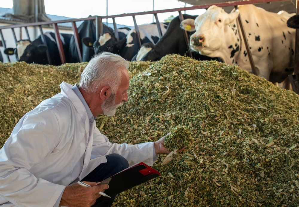 Conservação alimentos Euronit