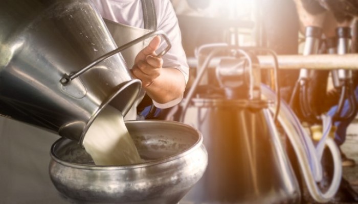 Como prevenir os efeitos das altas temperaturas no gado leiteiro