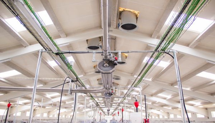 A ventilação do telhado promove um ambiente adequado nas instalações de engorda de suínos.