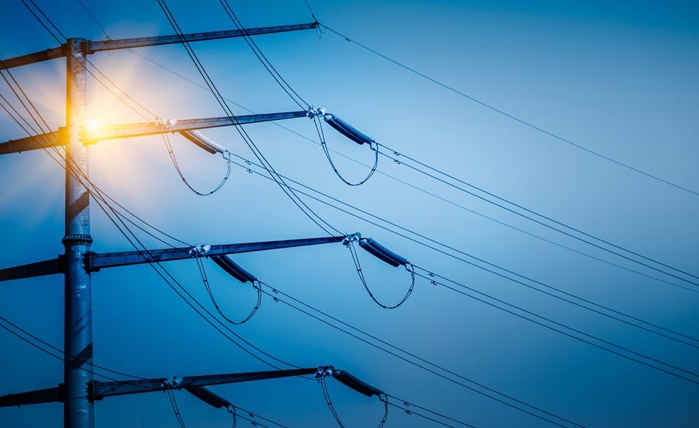 Apagão eléctrico maciço: Efeitos na pecuária