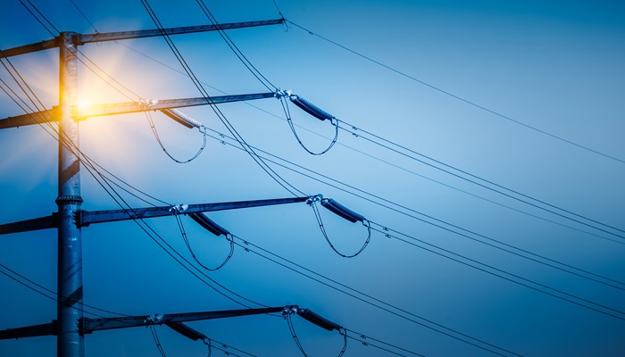 Apagão eléctrico maciço: Efeitos na pecuária