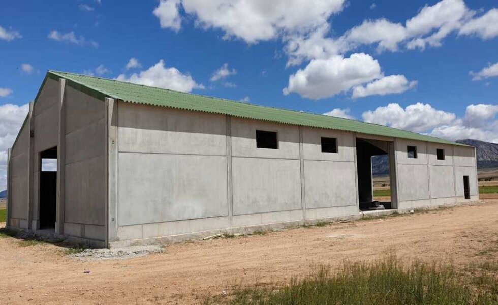 Chaves de conceção para uma produção, saúde e bem-estar óptimos dos ovinos