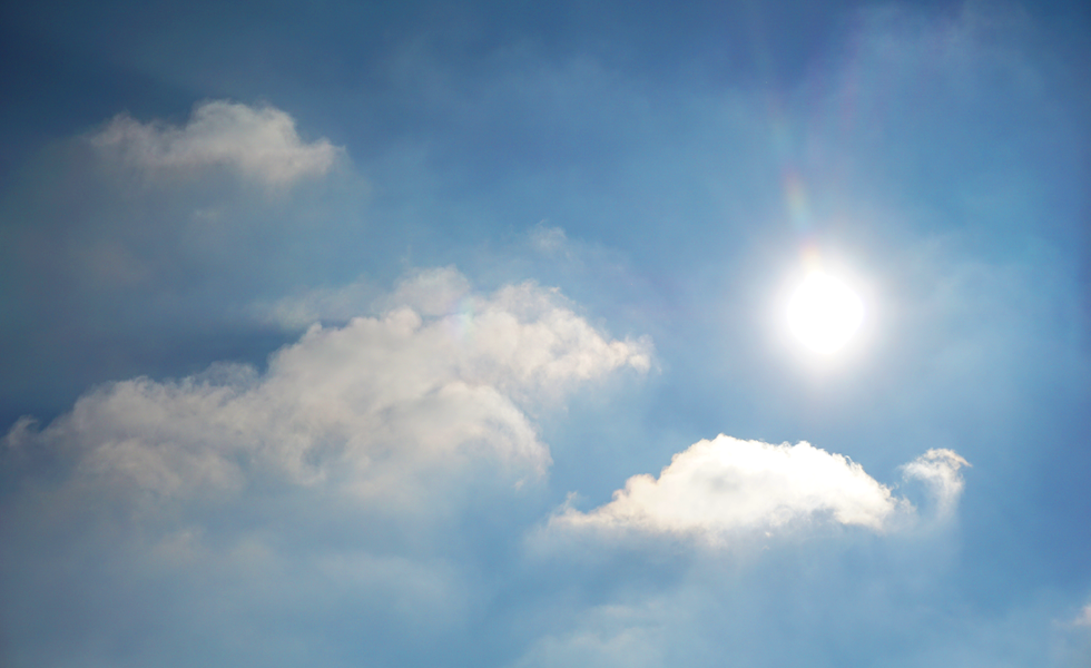 Como reduzir o stress térmico no gado leiteiro?