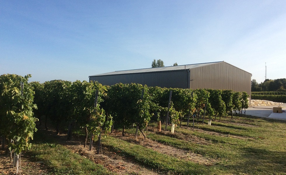 Concepção e construção de uma cave de vinho.