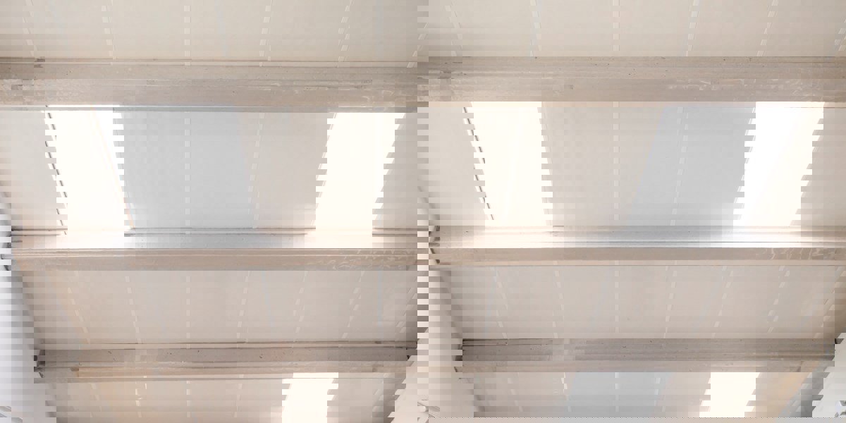 A importância da luz natural para os seus animais e produtividade pecuária