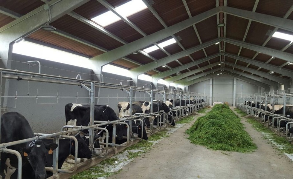 Saúde animal: como a biossegurança pode fazer a diferença