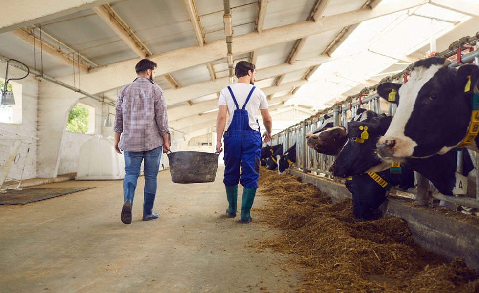 Euronit, um século de soluções de telhados para agricultores 