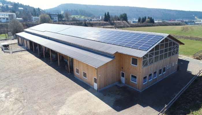 O melhor telhado para os seus cavalos