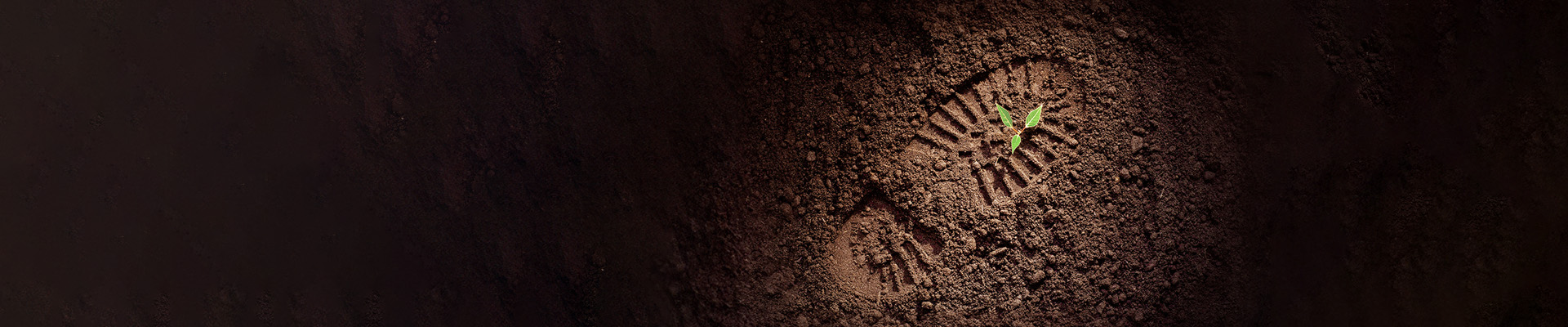 Dar passos que contam